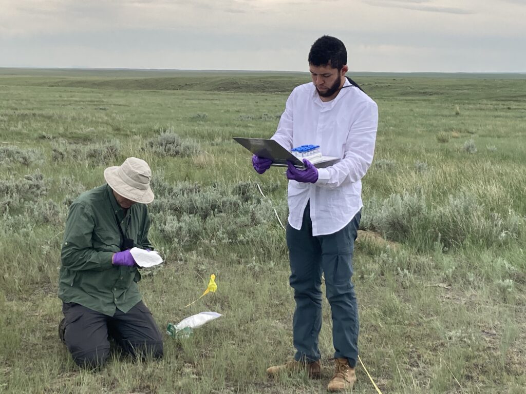 Fieldwork – Lutzoni Lab